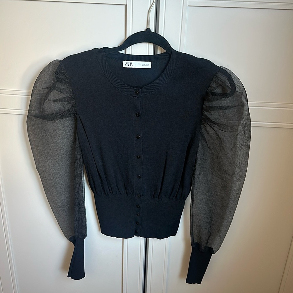 Zara cardigan with sheer sleeves